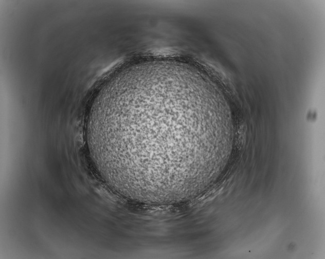 X0000100231205200806131329