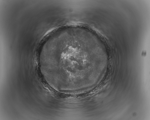 X0000100231206200806131329