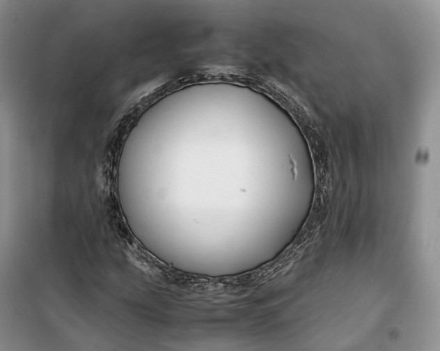 X0000100231207200806131329