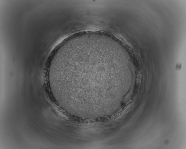 X0000100231208200806131329