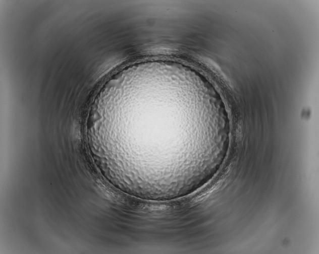 X0000100231209200806131329