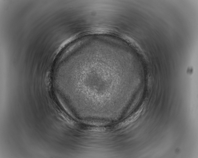 X0000100231210200806131329