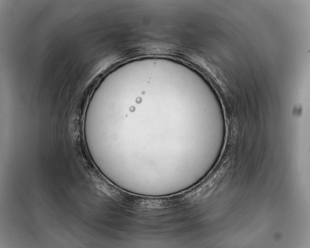 X0000100231211200806131329