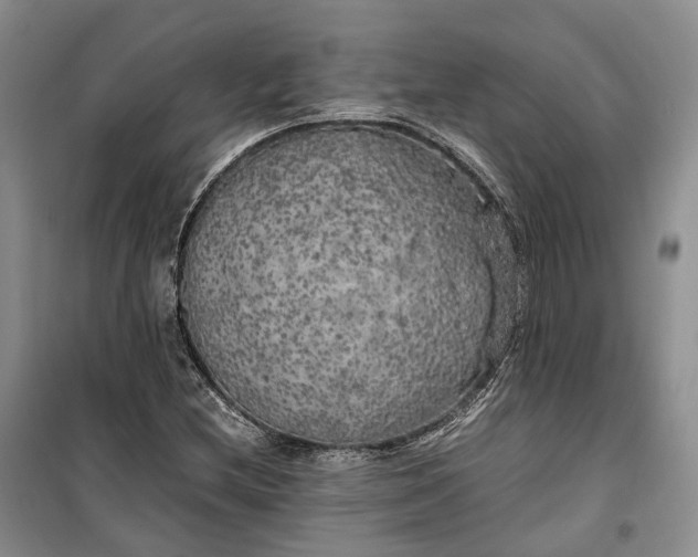 X0000100231212200806131329