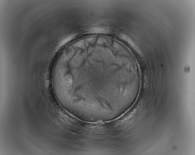 X0000100231213200806131329