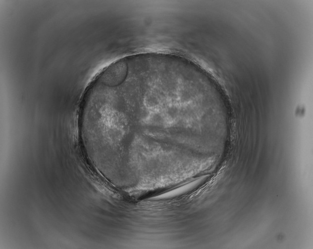 X0000100231214200806131329