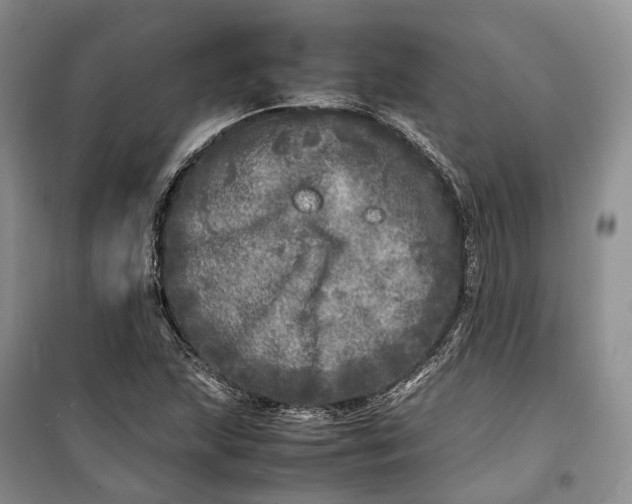 X0000100231215200806131329