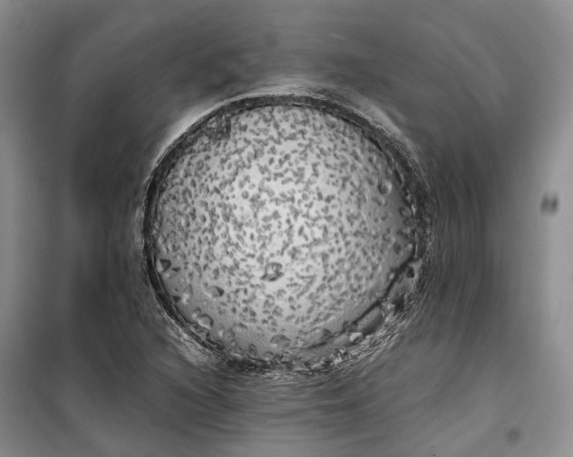 X0000100231216200806131329