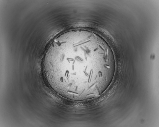 X0000100231217200806131329