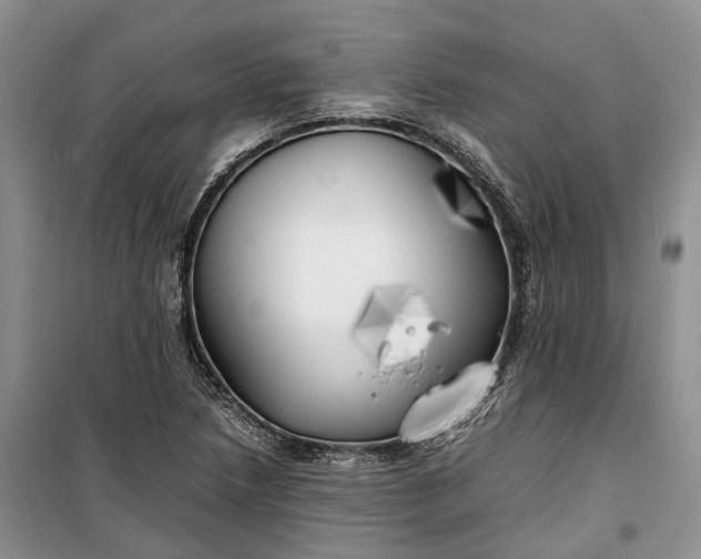 X0000100231218200806131329