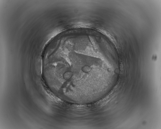 X0000100231219200806131329