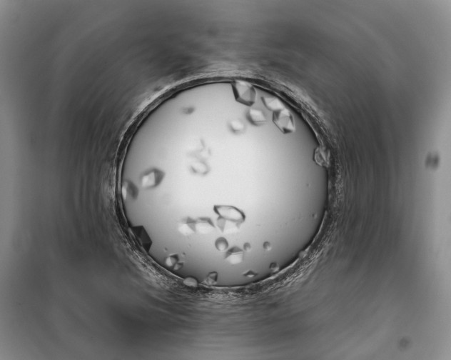 X0000100231220200806131329