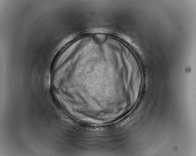 X0000100231221200806131329