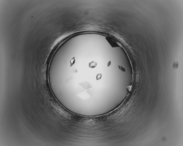 X0000100231222200806131329