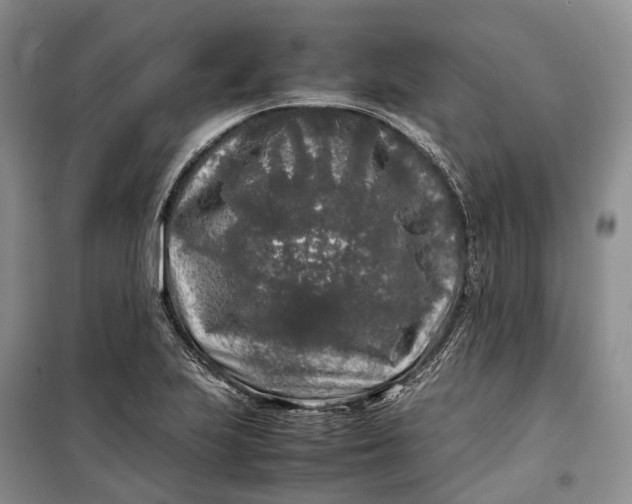 X0000100231223200806131329