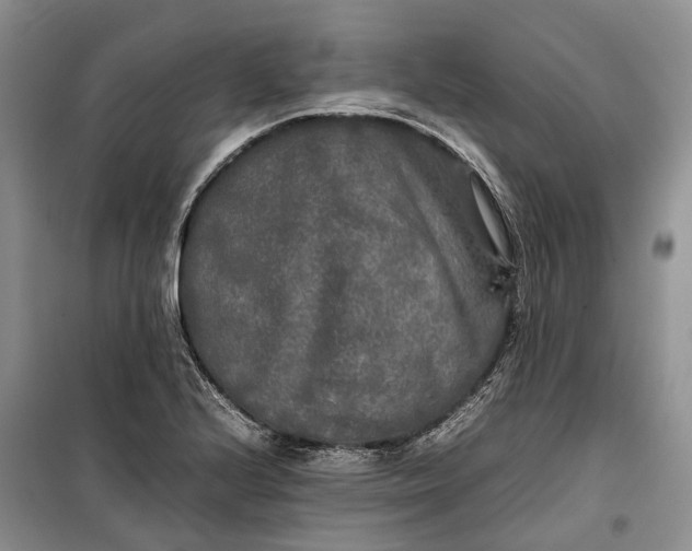 X0000100231224200806131329