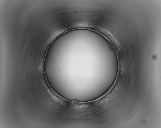 X0000100231225200806131329