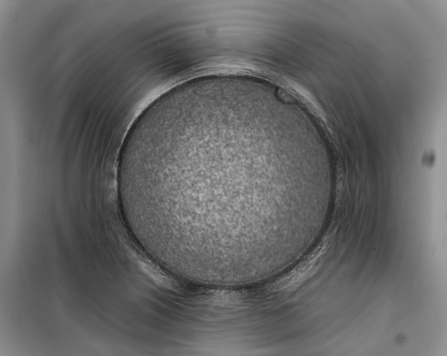 X0000100231226200806131329