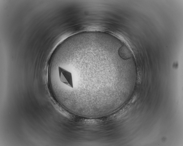 X0000100231227200806131329