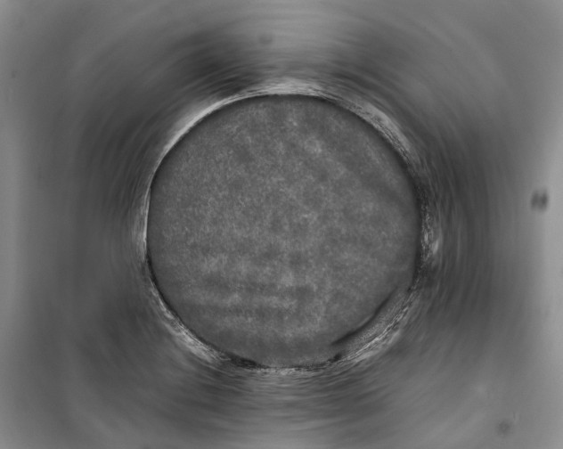 X0000100231228200806131329