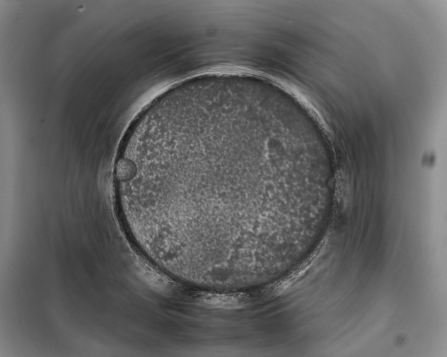 X0000100231229200806131329