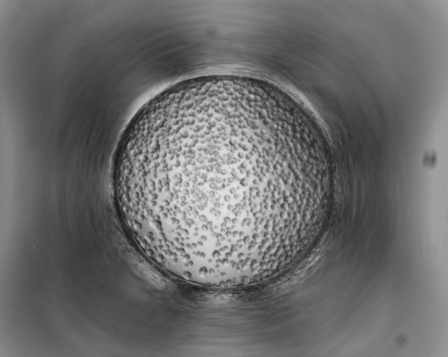 X0000100231230200806131329