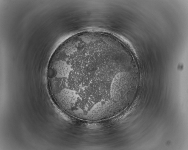 X0000100231231200806131329