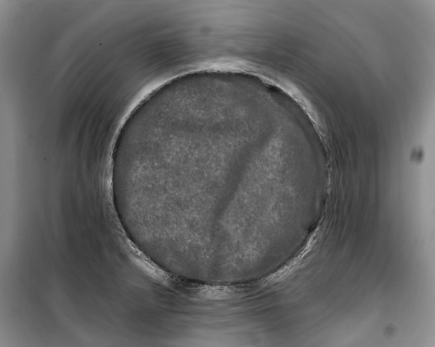 X0000100231232200806131329