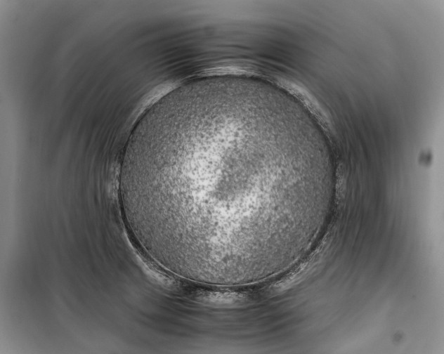 X0000100231233200806131329