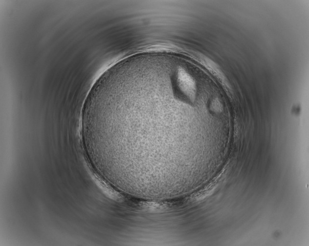 X0000100231234200806131329