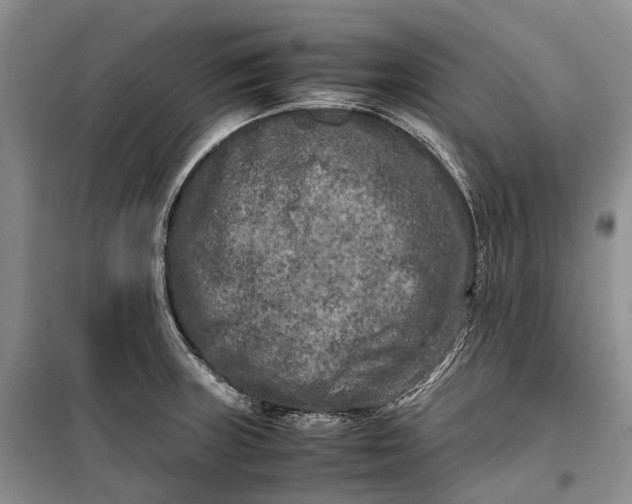 X0000100231235200806131329