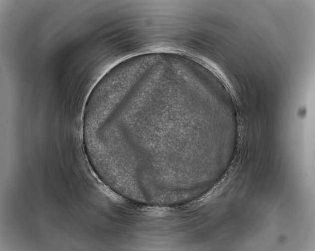 X0000100231236200806131329