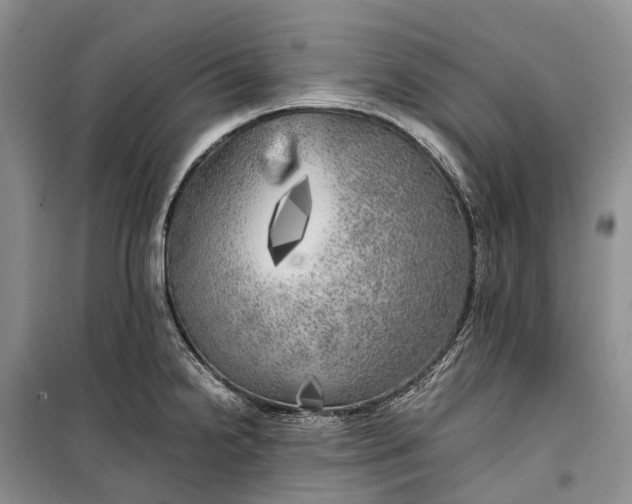 X0000100231238200806131329