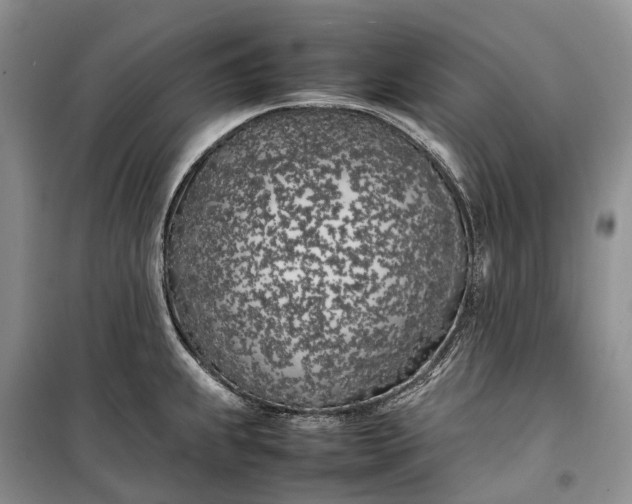 X0000100231239200806131329