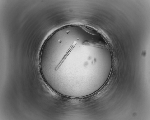 X0000100231240200806131329