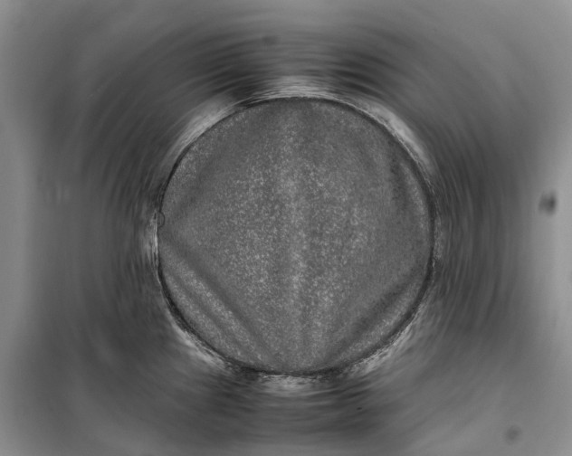 X0000100231241200806131329