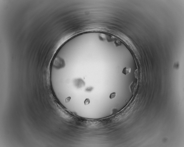 X0000100231242200806131329