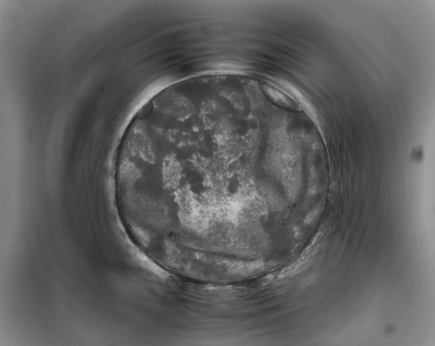 X0000100231243200806131329