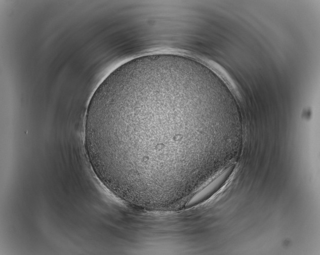 X0000100231244200806131329