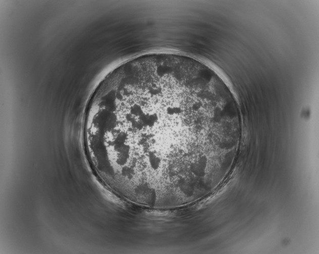 X0000100231245200806131329