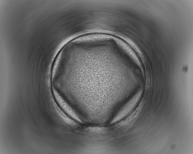 X0000100231246200806131329