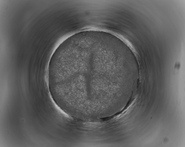 X0000100231247200806131329