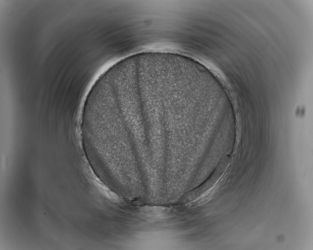 X0000100231248200806131329