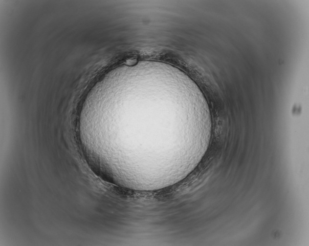 X0000100231249200806131329