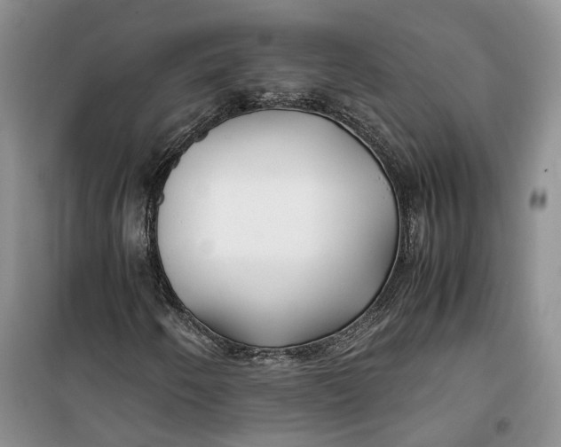 X0000100231250200806131329