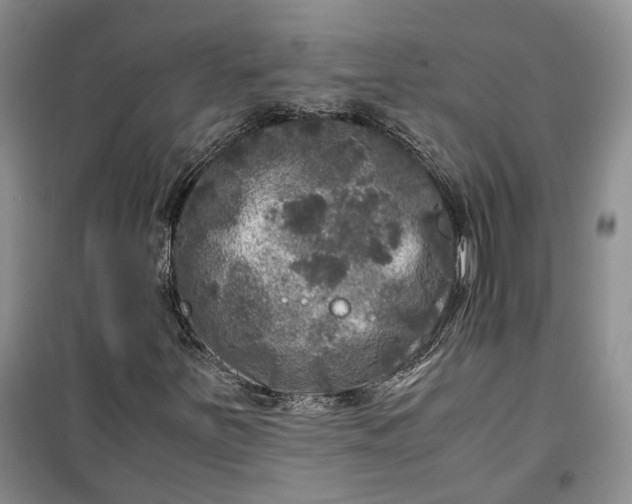 X0000100231251200806131329