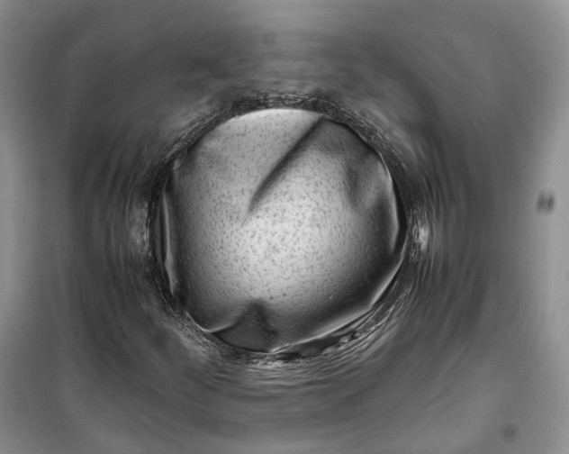 X0000100231252200806131329