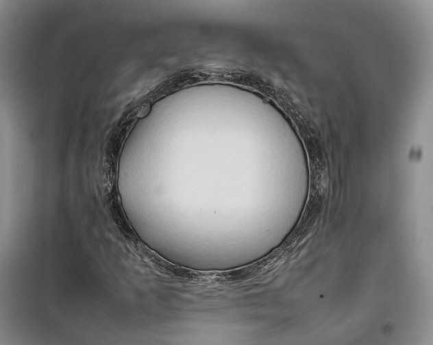 X0000100231253200806131329