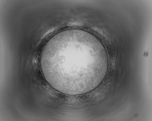 X0000100231254200806131329