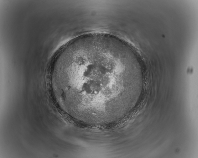 X0000100231255200806131329